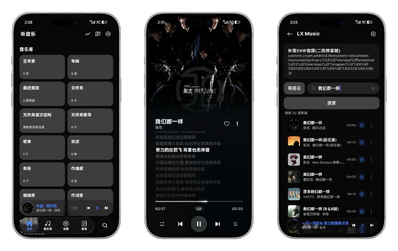 ⭐️ #软件 #音乐🎵 Halcyon - 可以导入落雪音乐音源的 Android 音乐播放器🗂 软件平台